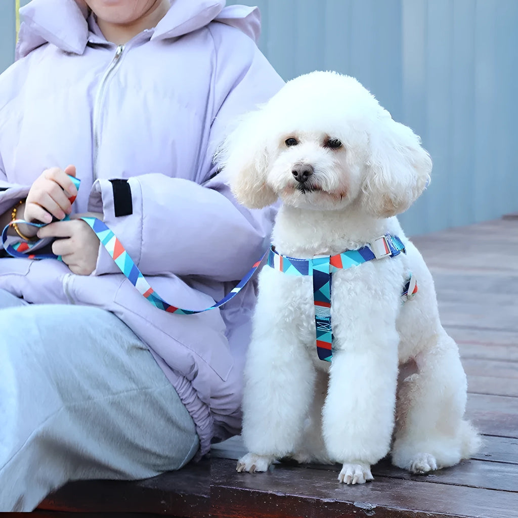 Polyester dog vest haulage rope package with chest strap and traction rope in multiple colours
