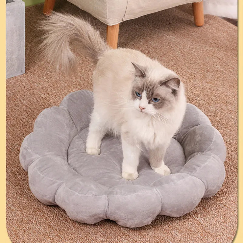 Blue half-surrounded petal design plush pet bed measuring 50x50cm for cats and small dogs