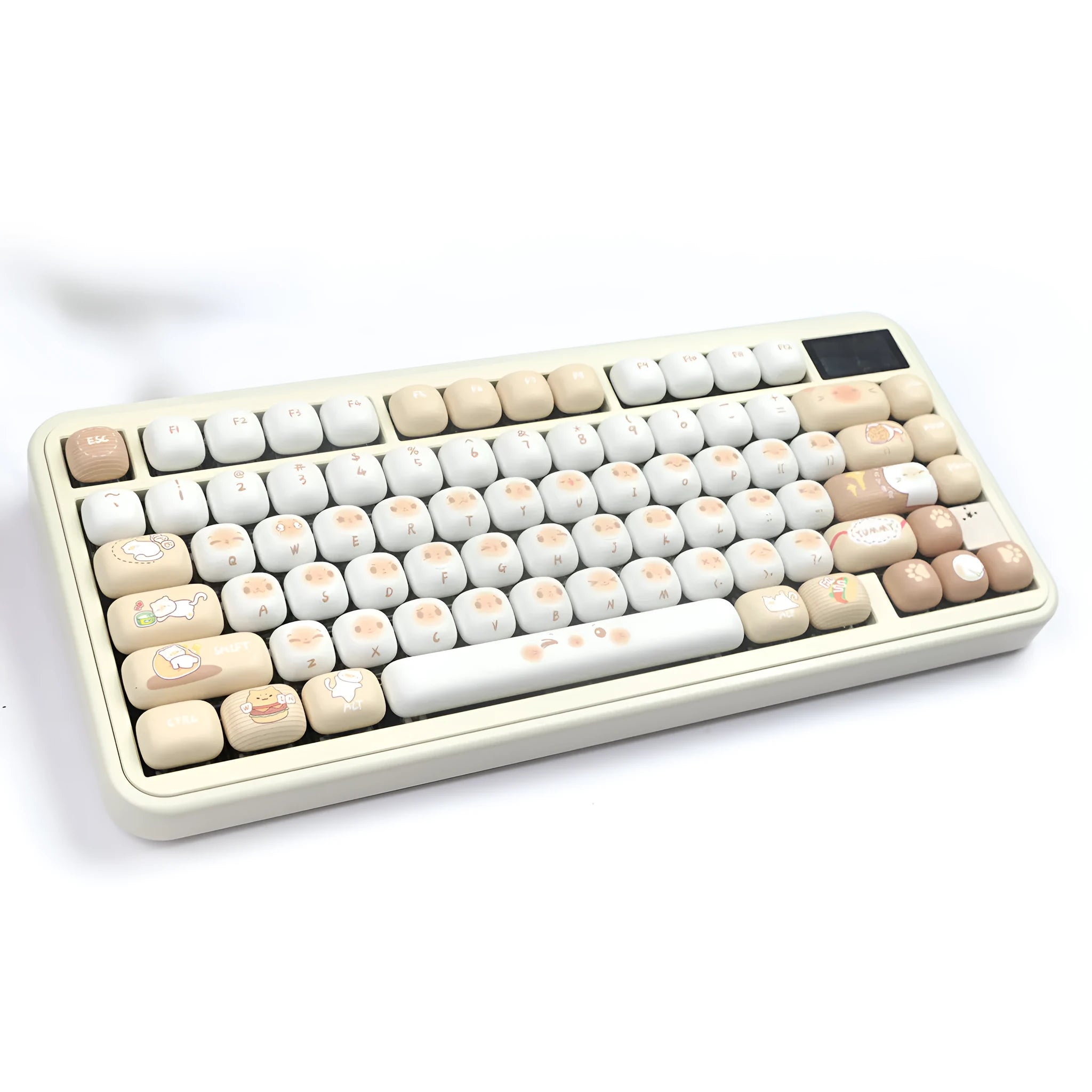 Mechanical keyboard replacement key caps in marching past colour with PBT construction