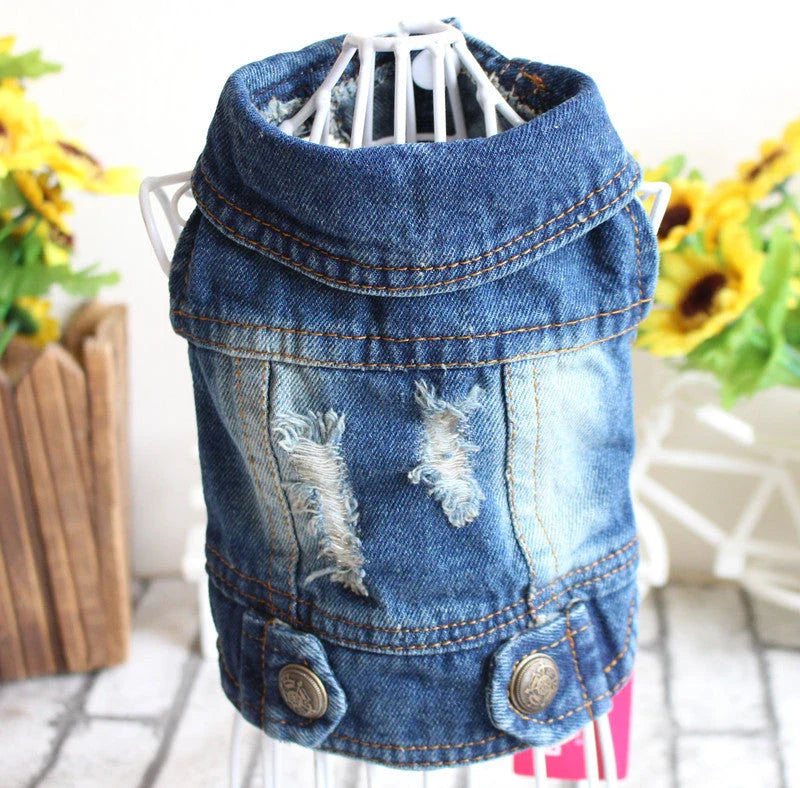 Stylish denim dog jackets and vests in a variety of designs for small pets