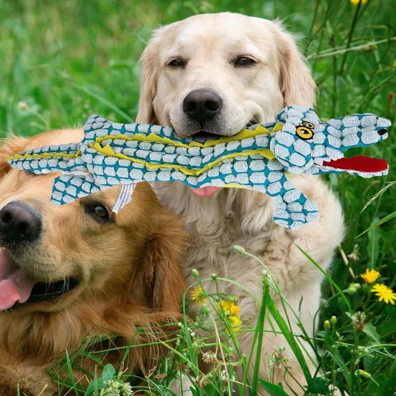 Blue plush crocodile dog toy with corduroy fabric texture and squeaker for interactive play