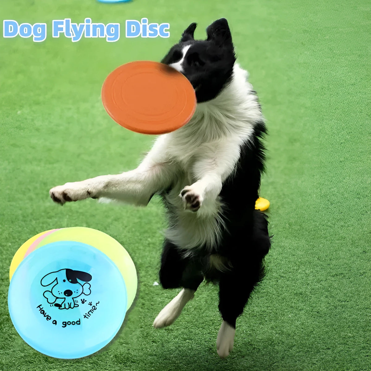 Silicone flying saucer dog toy in assorted colour, 20cm diameter disc for fetch and training