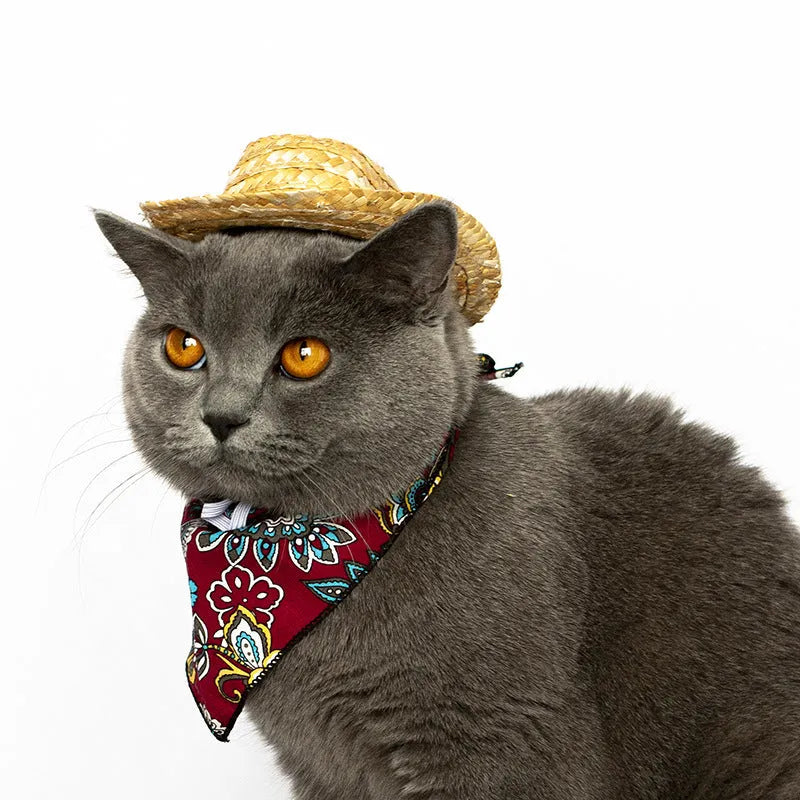 Small brown and straw cowboy hats for pet cats in S M and free sizes