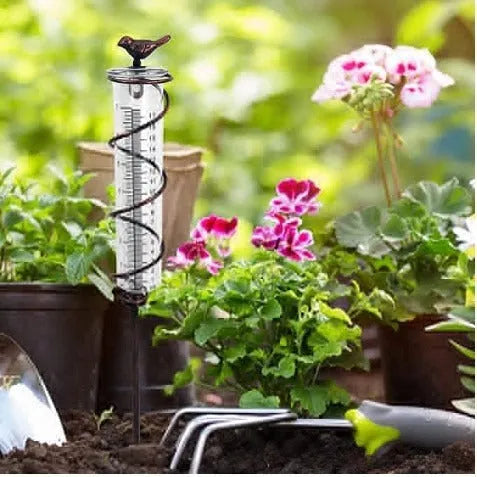 Traditional cast iron bird design outdoor rain gauge with glass measurement chamber showing 1-20 scale