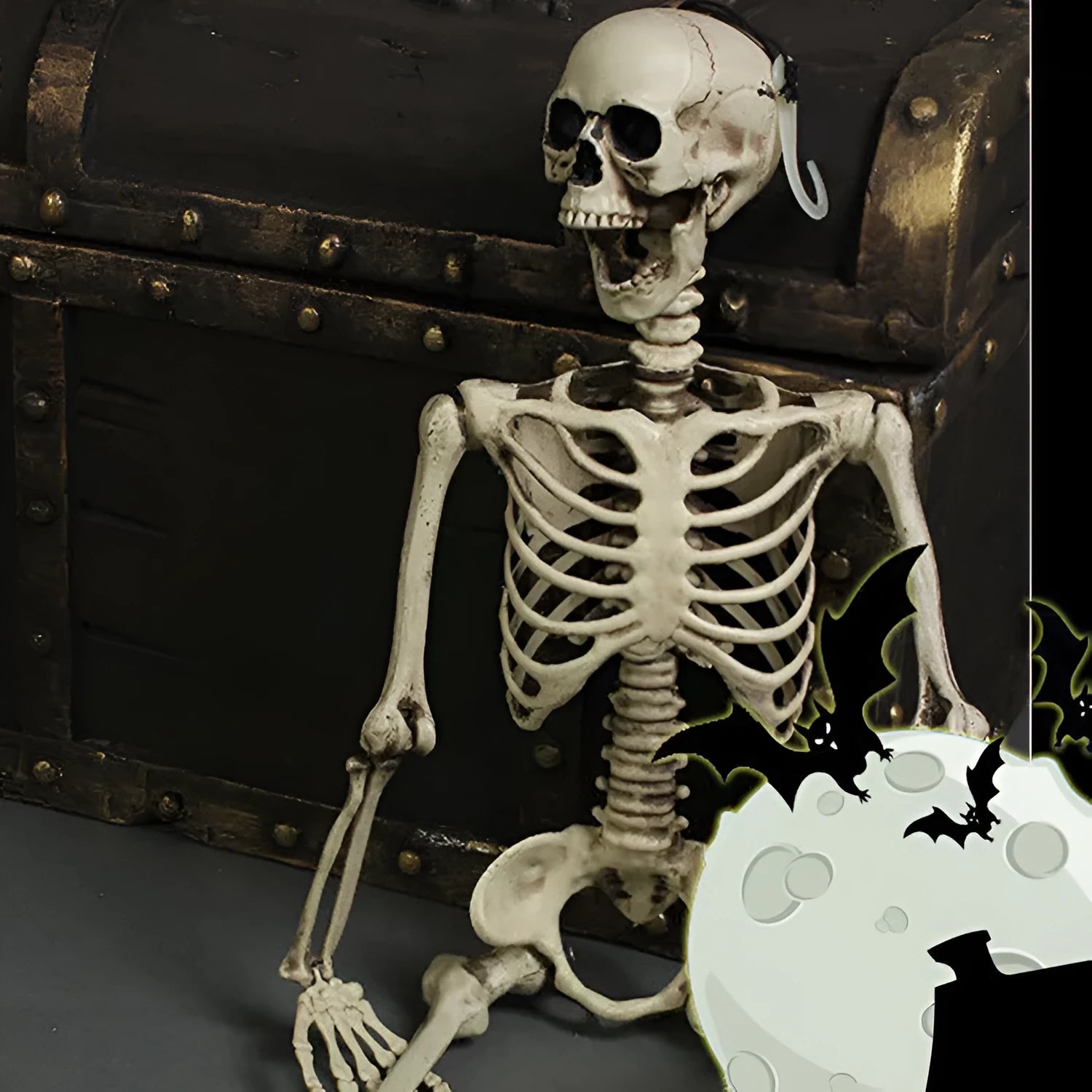 170cm tall plastic skeleton prop with detailed skull and bone structure