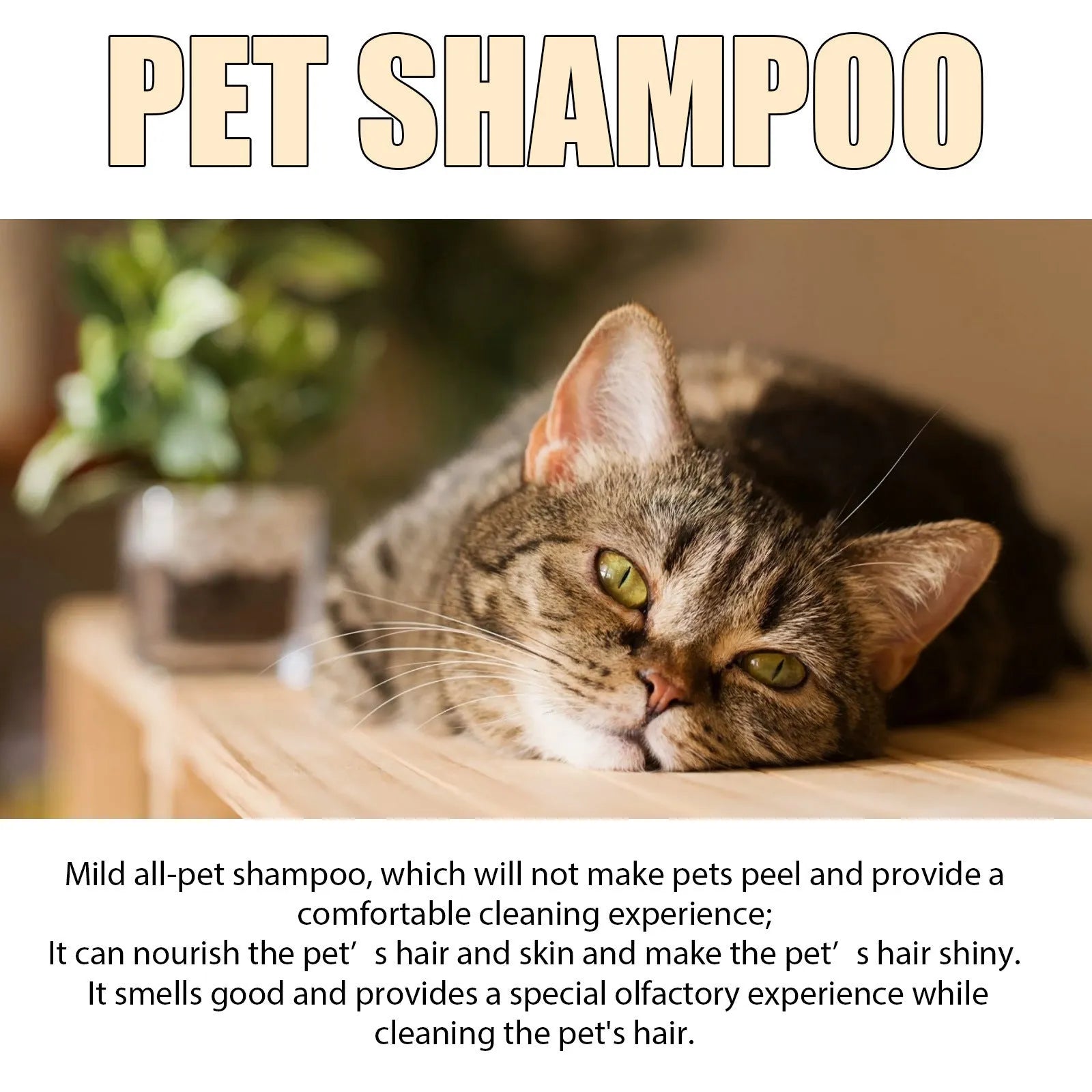 Mild dog shampoo bottle in 100ml and 300ml sizes for pet grooming and tangle reduction