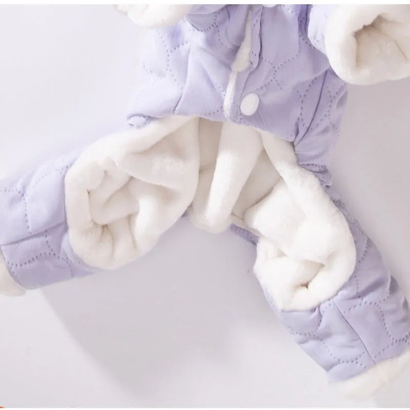 Four-legged cotton dog coat for small breeds with D-ring in brown colour on a Bichon Frise
