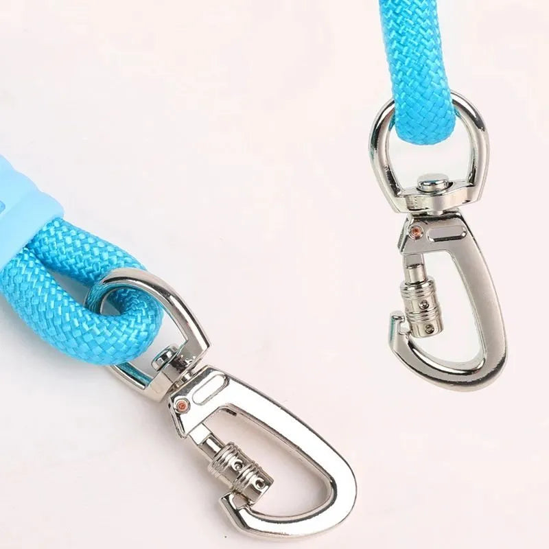 Nylon dog traction leash with a black foam handle on a coloured rope.