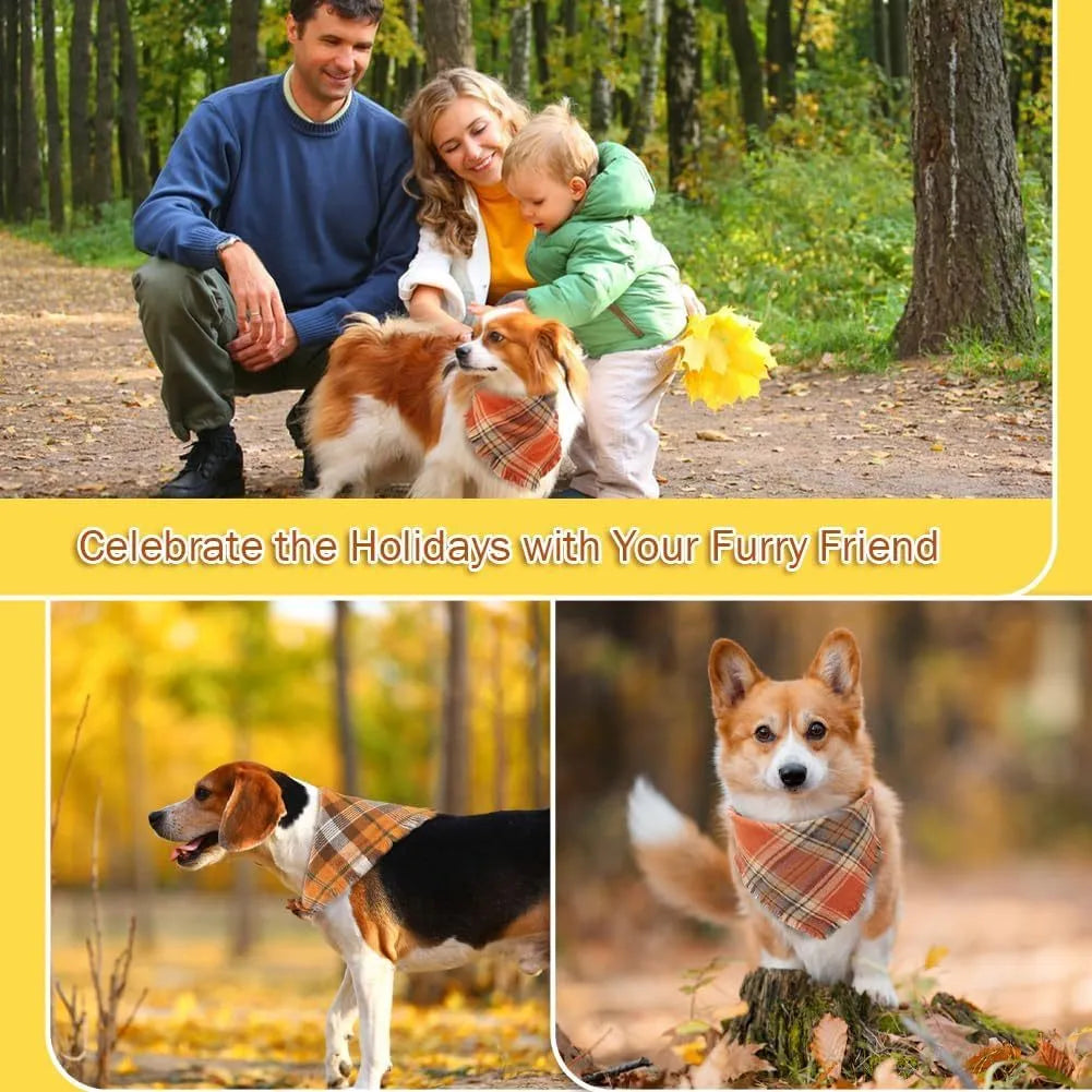Classic plaid dog bandana with tassels edges in autumn colours