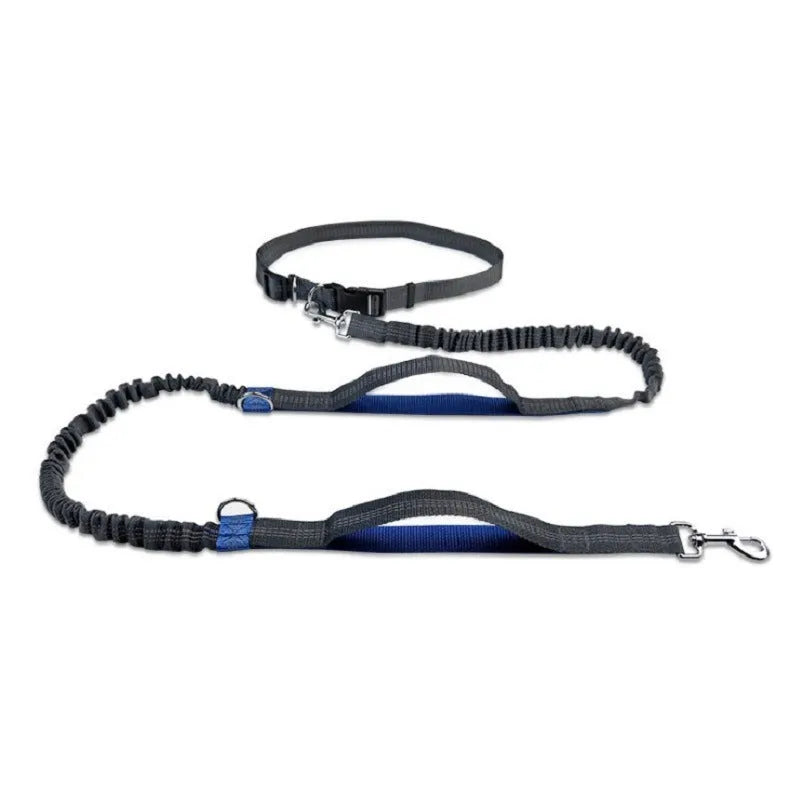 Blue retractable dog running belt with adjustable waist strap for hands-free control