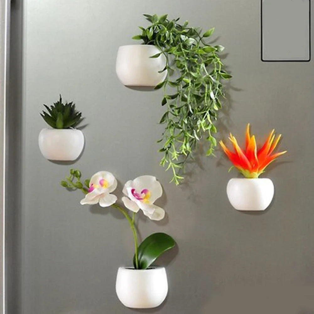 Charming succulent fridge magnets in various styles, featuring realistic plastic plants with strong magnetic attachments for easy placement on refrigerators and other metal surfaces.