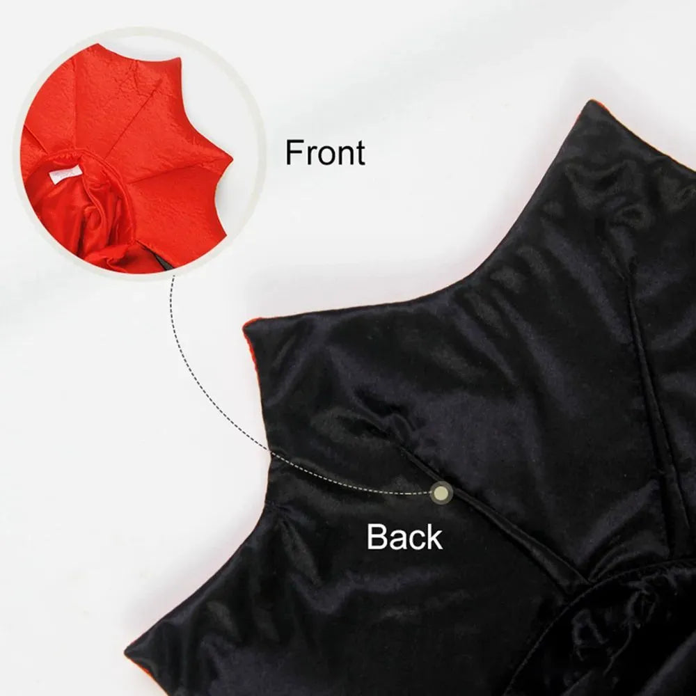 Black vampire cloak pet costume on a small dog, showing Velcro neck fastening.