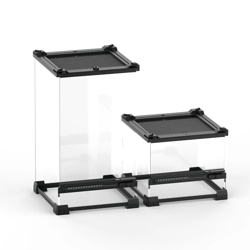 Transparent glass cylinder enclosure for lizard and turtle climbing and feeding