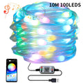 Bluetooth Graffiti Point Control Symphony Light plastic string light with 100 LEDs in picture colour