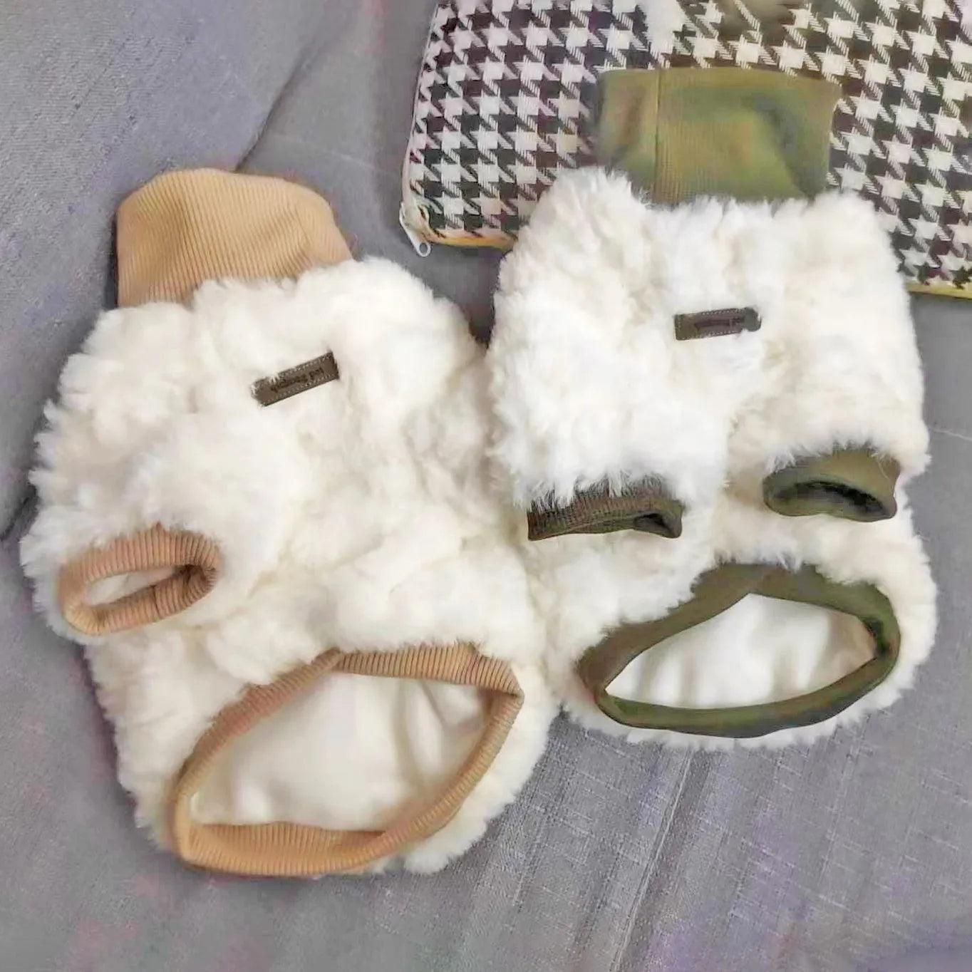 Creamy green turtleneck plush dog coat on a small dog, showing high collar design
