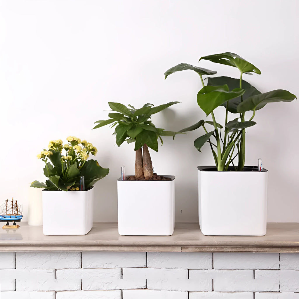 White plastic cube lazy basin flowerpot with automatic water feeding for Scindapsus aureus bonsai, size 14cm