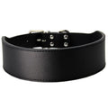 Fish-shaped leather dog collar with anti-break-away design and adjustable scarf for large breeds