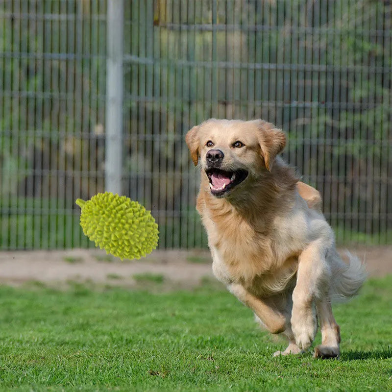 Durian-shaped dog chew toy in bright colours with teeth-cleaning ridges and squeaker ball