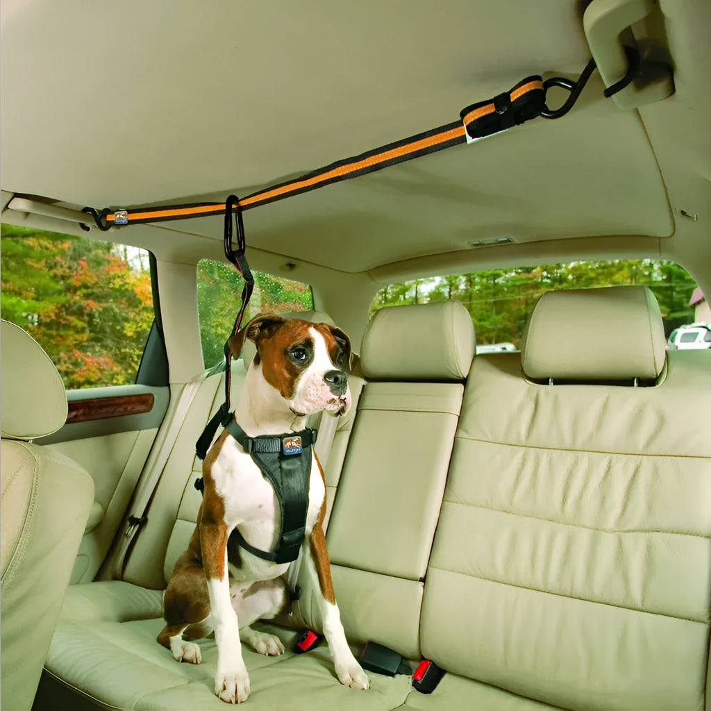 Orange nylon pet safety belt dual-purpose car lanyard and traction belt for dogs and cats