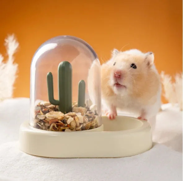 Hamster cactus automatic feeder with transparent 190ml food container in mint green colour