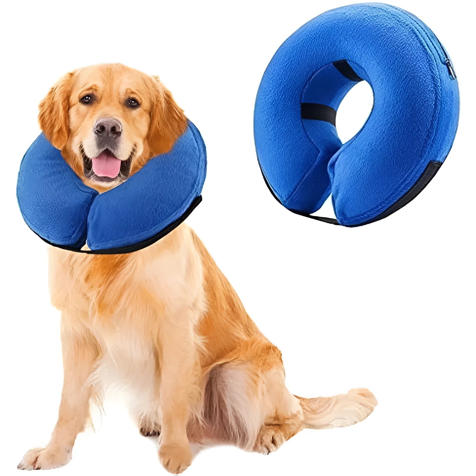 Blue inflatable dog recovery collar shown on a pet, with size chart for XS, S, M, L, XL.