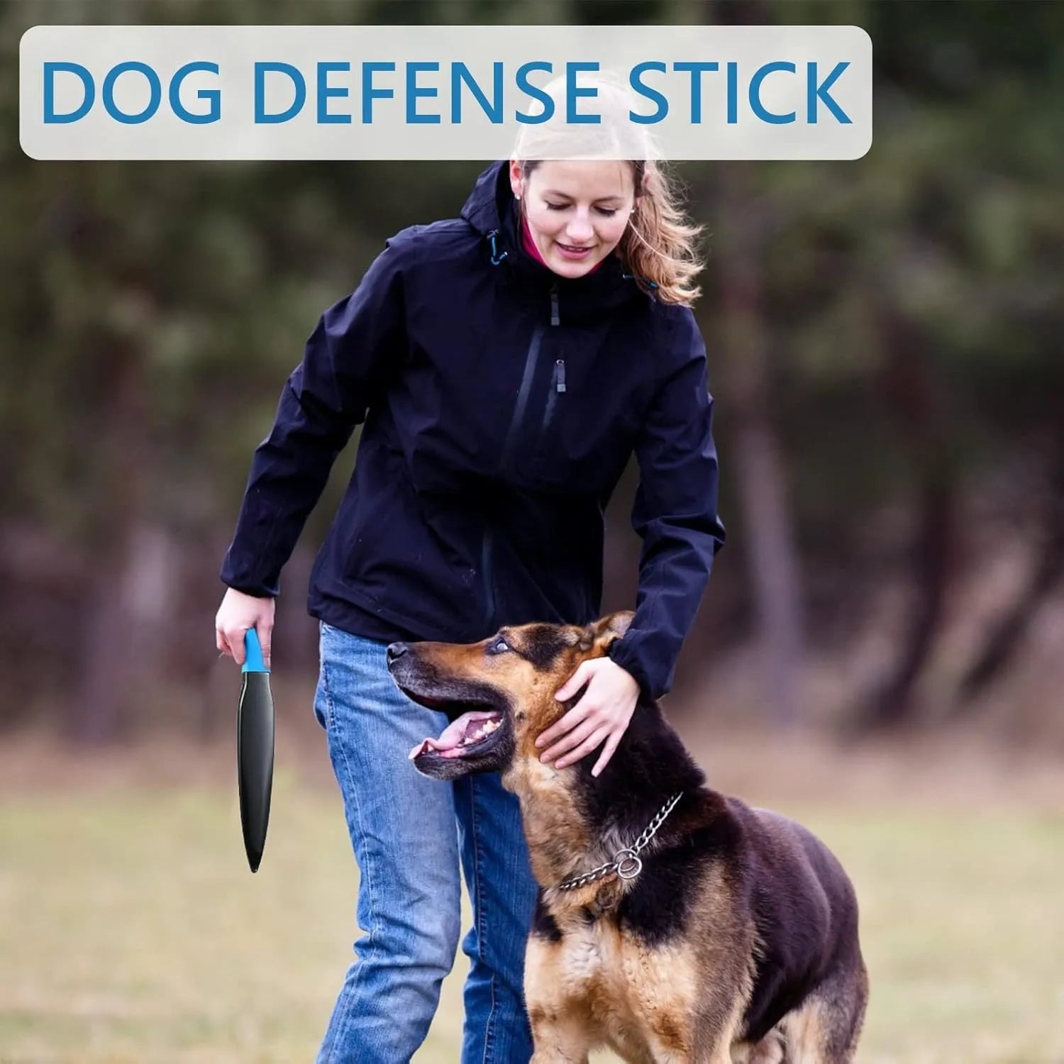 Blue-handled dog break stick measuring 35cm for small to medium dog training