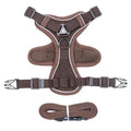 Anti-breakaway cat harness and 1.5m flat rope lead set in green on a grey background
