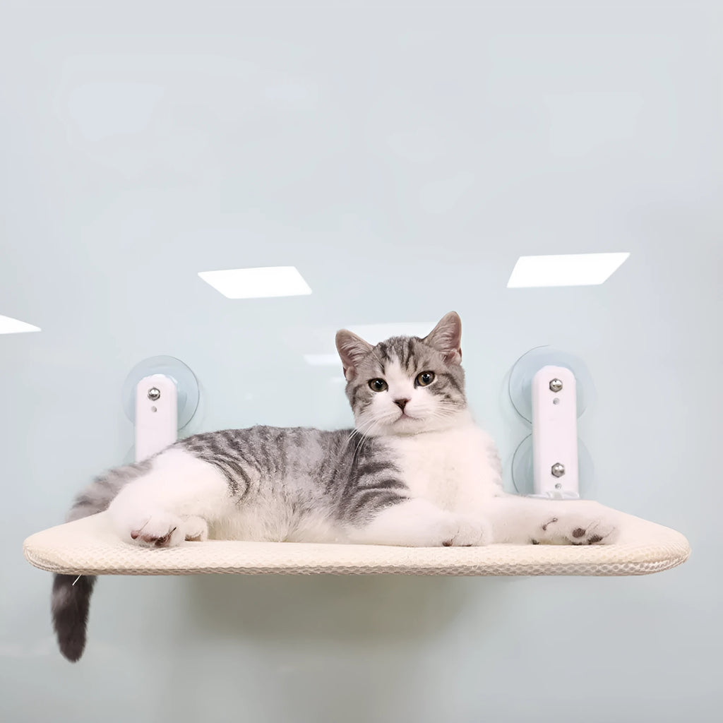 Stainless steel foldable cat hammock seat cushion mounted on window with suction cups