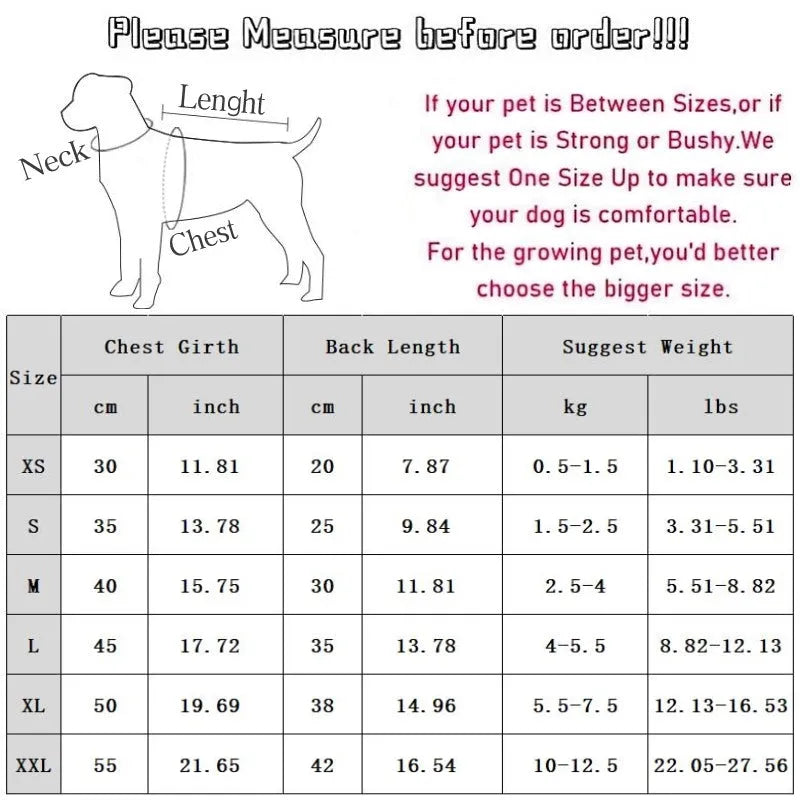 Cute dog polo shirt with striped collar for male puppy, breathable fabric, black colour