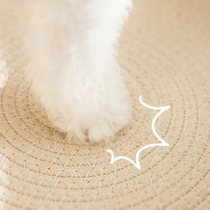 Green oval cat scratcher pad with sisal surface serving as scratching area and cat bed