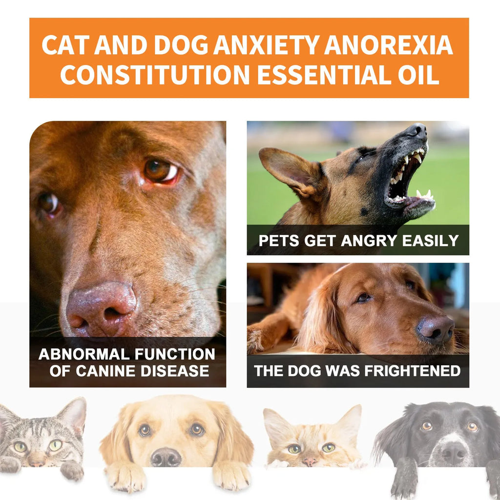 30ml bottle of hemp seed oil for pets, suitable for cats and dogs