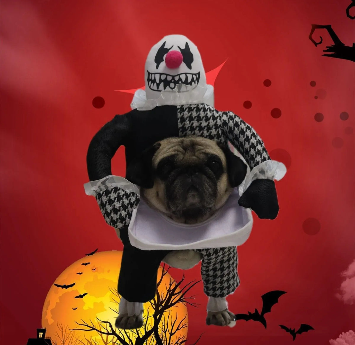 Pet Halloween costume demon transformation in big devil colour, cloth, sizes S and L