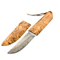 White shadow short knife with Damascus pattern VG10 steel blade and Thuja wood handle