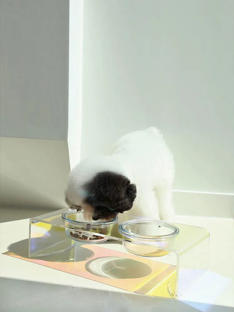 Pet Rainbow Bowl acrylic pet feeder with holographic finish and glass bowl for cats and small dogs