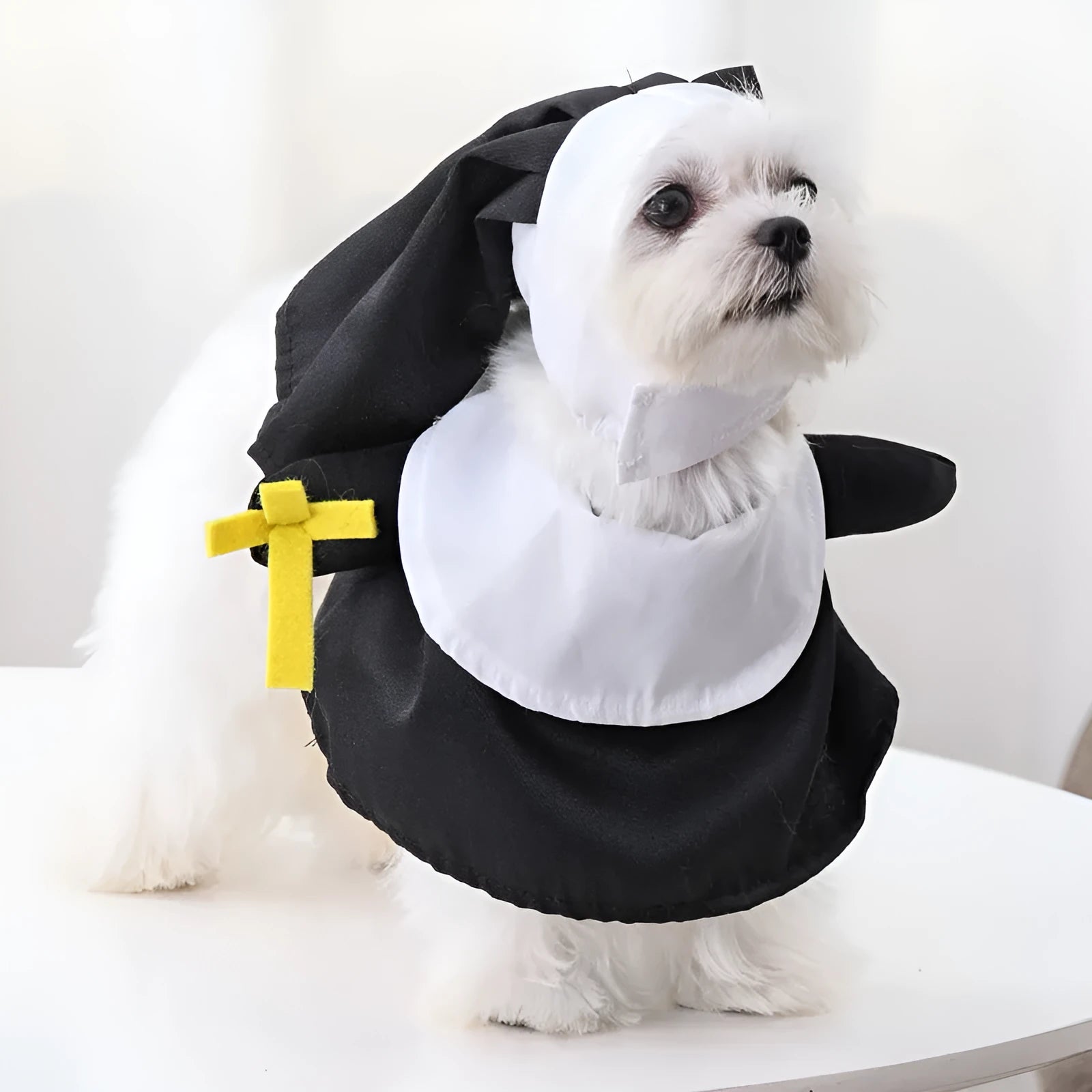 Black polyester nun Halloween costume for cats and dogs with free-size fitting