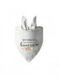 Wedding pet dog triangular binder scarf polyester letters pattern multicolour 42x42x62cm autumn casual style