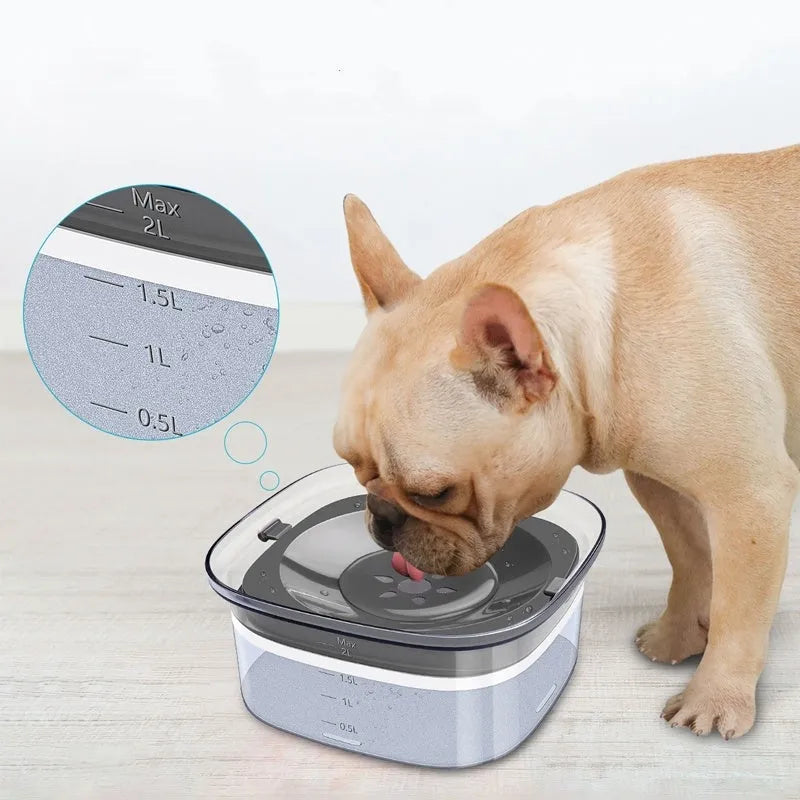 Transparent 2 litre dog water bowl with floating disc showing water level visibility