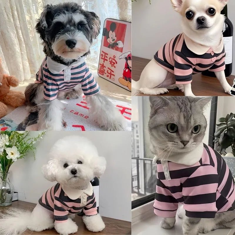 Cute dog polo shirt with striped collar for male puppy, breathable fabric, black colour