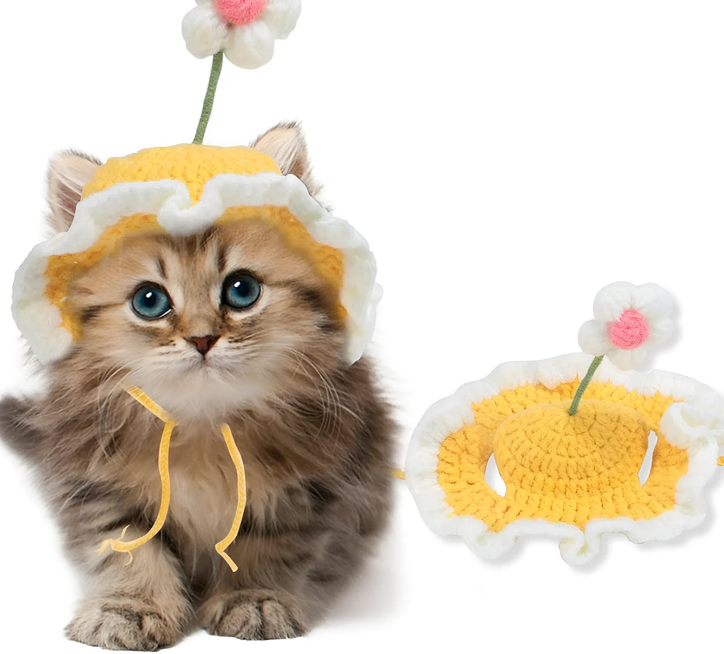 Green knitted cat hat with cartoon design on a pet