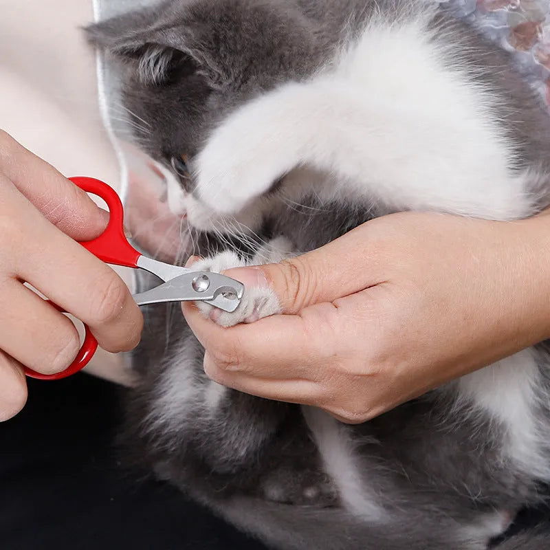Pet nail clippers with stainless steel blades and coloured rubber handle for dog cat grooming
