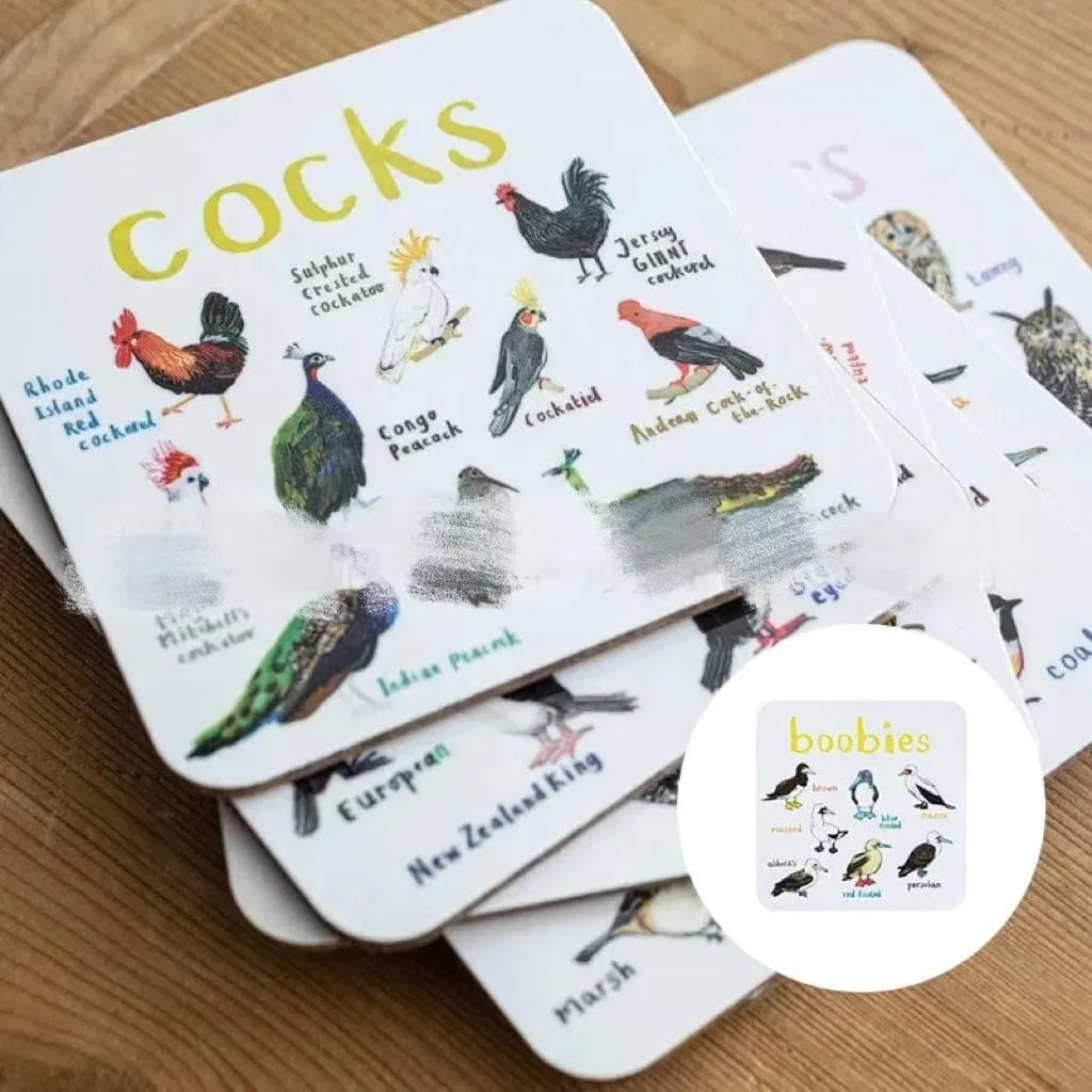 Square bird pun coasters, PVC drink mats 10x10x0.35 cm, 6 or 12 piece set with bird charts.