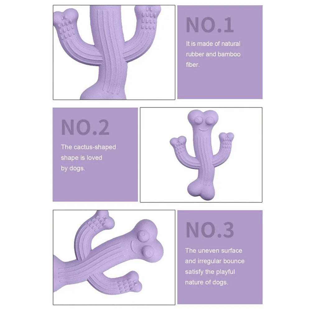 Cactus-shaped dog chew toy in beige, blue, or purple colour, shown in small and large sizes.