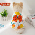Ultra-thin polyester pet dress with floral butterfly knot design in multiple colour options