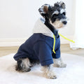 Dark red dog hoodie pullover with contrast colour panels on a medium-sized dog
