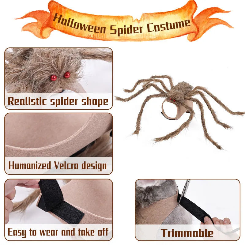 Grey polyester Halloween spider costume for a dog showing spider leg design.