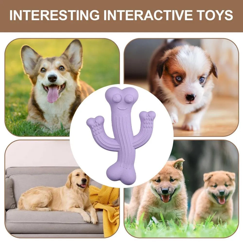 Cactus-shaped dog chew toy in beige, blue, or purple colour, shown in small and large sizes.