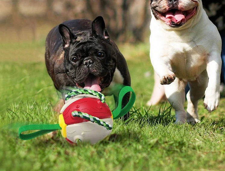 Interactive dog toy that transforms from a ball to a frisbee, engaging your pup's natural instincts and providing endless outdoor fun.