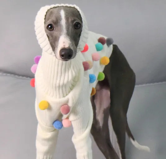 White pom pom Christmas sweater for Italian Greyhound or Whippet, unisex acrylic knit jumper