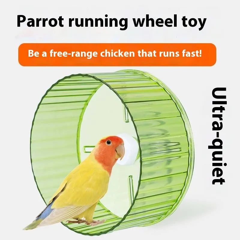 A transparent plastic bird running wheel toy mounted on green cage bars.