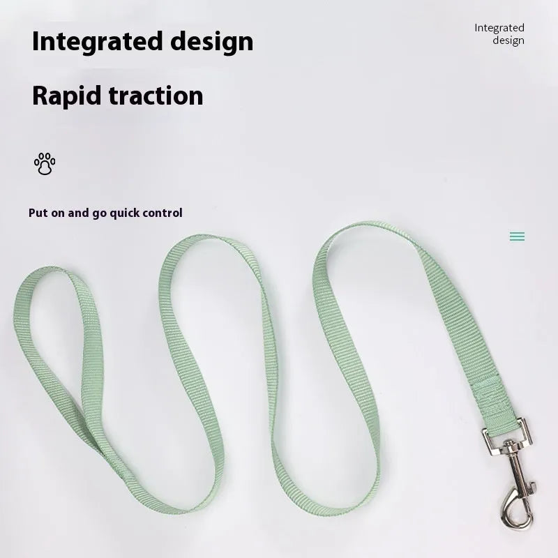 Solid colour polyester dog lead showing four width options and multiple colour choices on a 120cm rope.